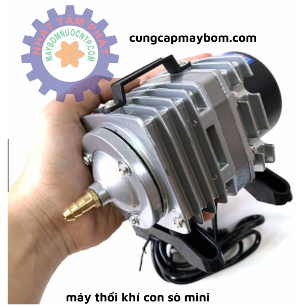 Máy thổi khí con sò mini